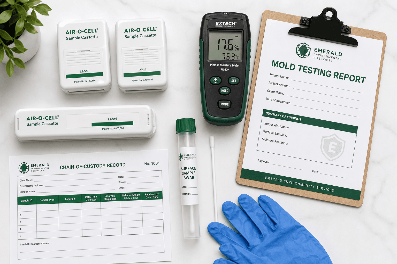 Mold Testing